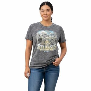 HARLEY-DAVIDSON Women’s Gray Short Sleeve Sturgis 2024 Graphic T-Shirt Large
